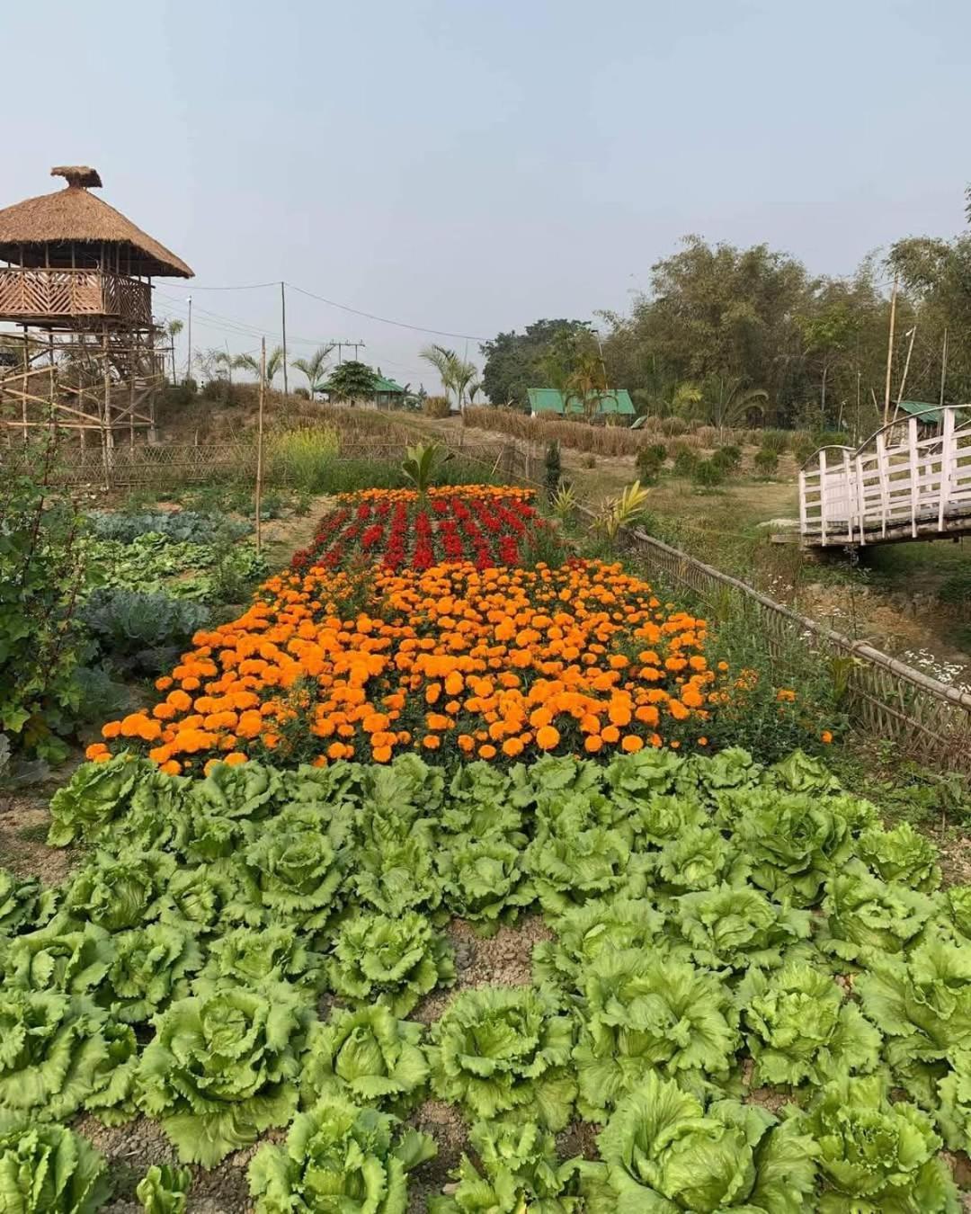 Bogibil Eco Resort New ディブルガル エクステリア 写真