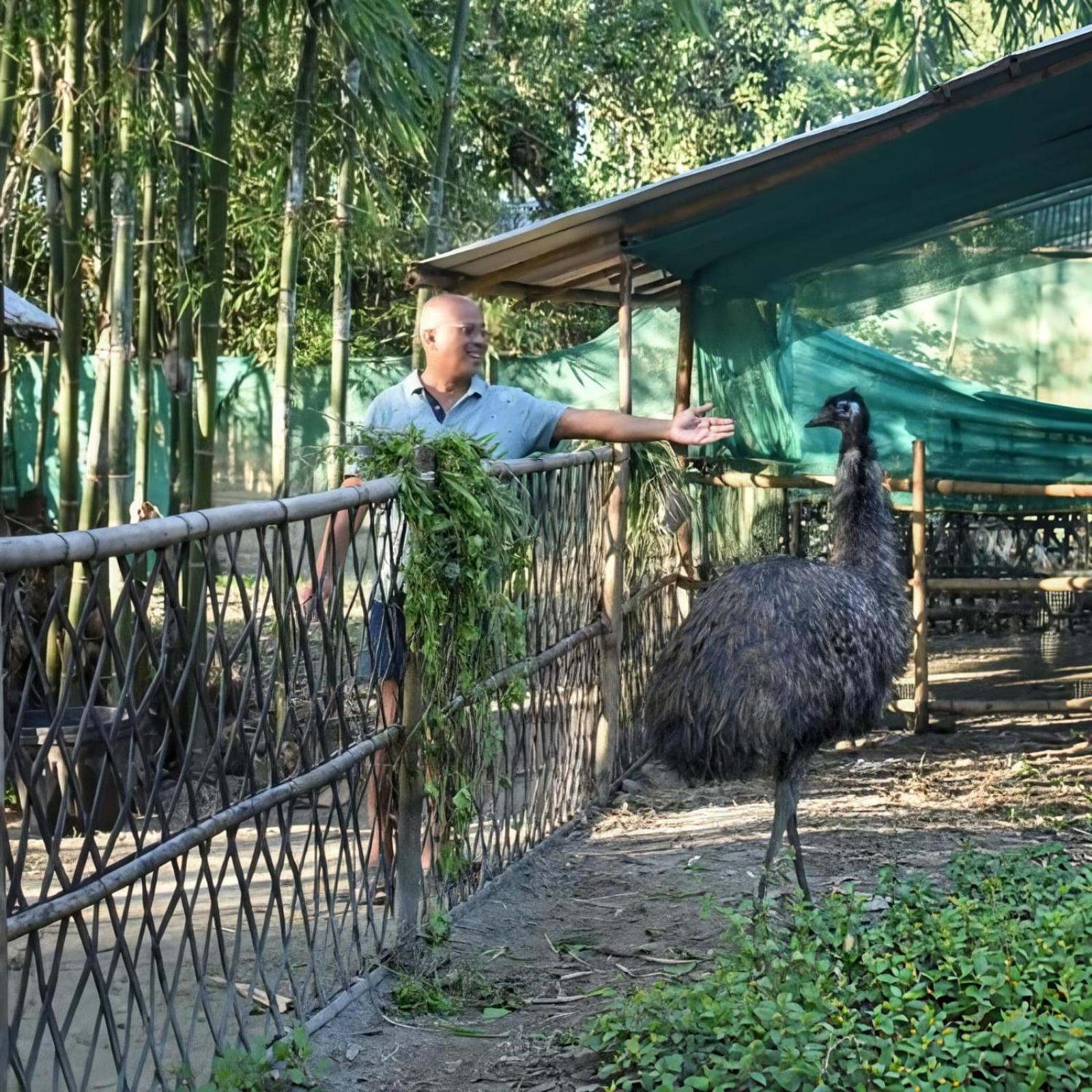 Bogibil Eco Resort New ディブルガル エクステリア 写真